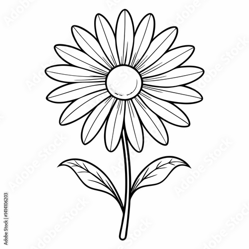 hand drawn daisy flower outline illustration 