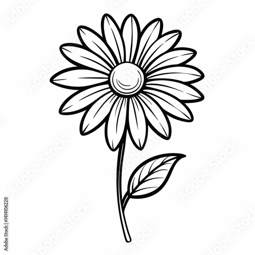 hand drawn daisy flower outline illustration 