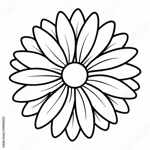 hand drawn daisy flower outline illustration 