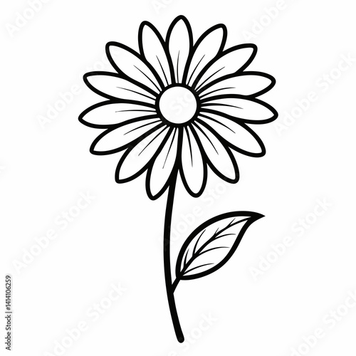 hand drawn daisy flower outline illustration 