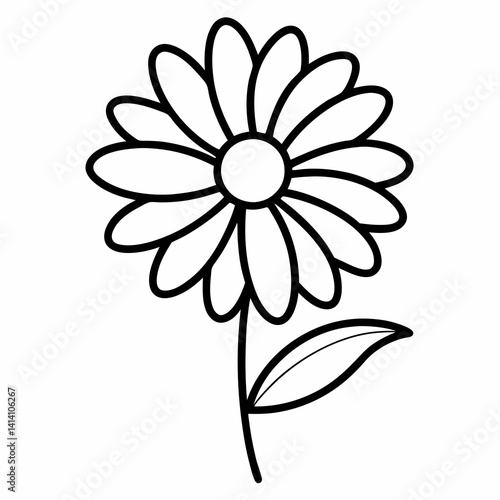 hand drawn daisy flower outline illustration 