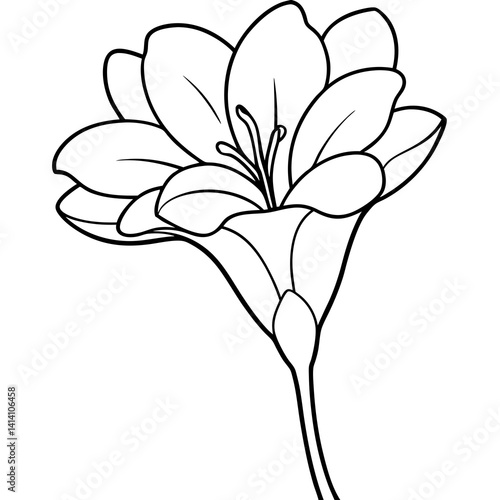 hand drawn freesia flower outline illustration 