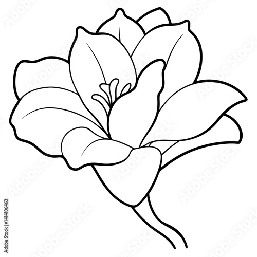 hand drawn freesia flower outline illustration 