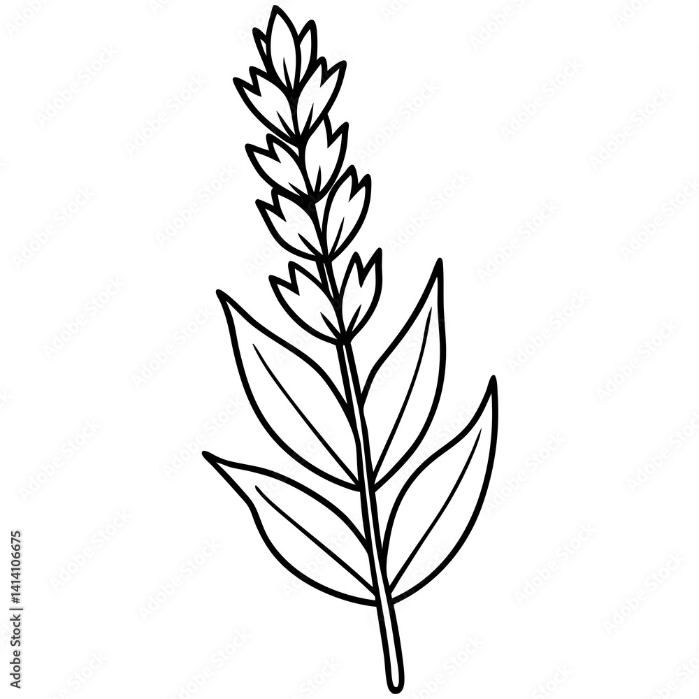 Fototapeta premium hand drawing flower outline