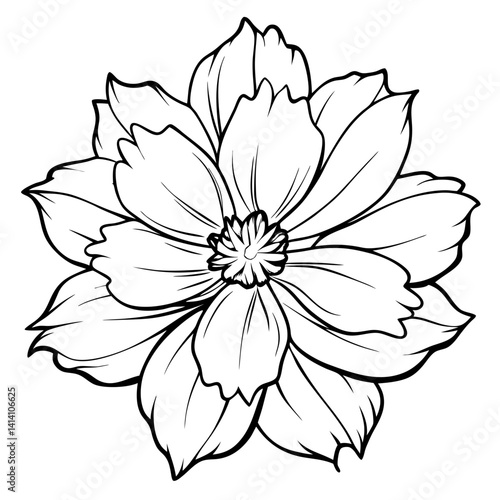 hand drawn garden flower outline illustration 