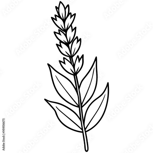 hand drawing flower outline