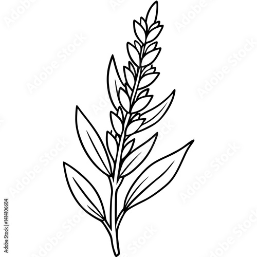 hand drawing flower outline