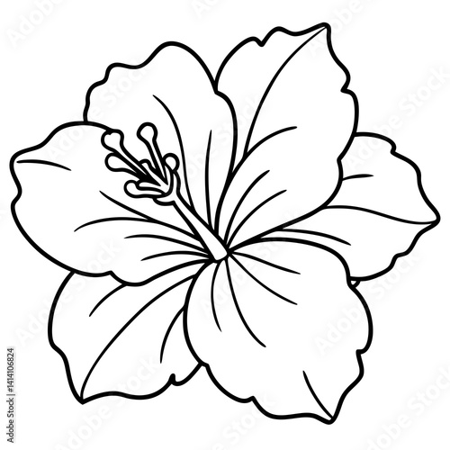 hand drawn heather flower outline illustration 