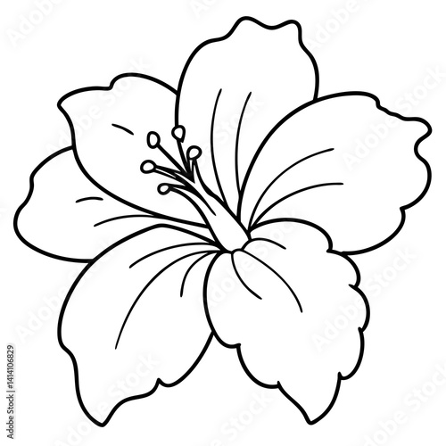 hand drawn heather flower outline illustration 