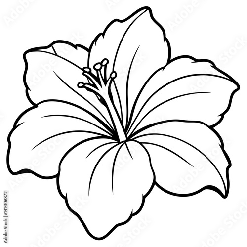 hand drawn heather flower outline illustration 