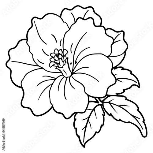 hand drawn -hyacinth flower outline illustration 