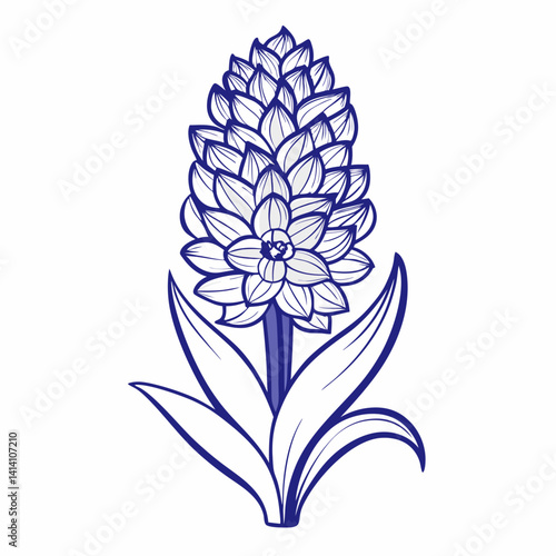 hand drawn -hyacinth flower outline illustration 