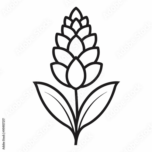 hand drawn -hyacinth flower outline illustration 
