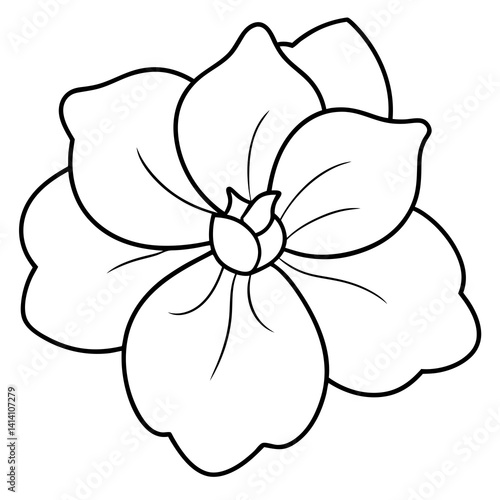 hand drawn impatiens flower outline illustration 