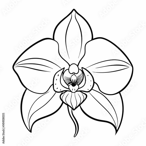 hand drawn woody flower outline illustration 