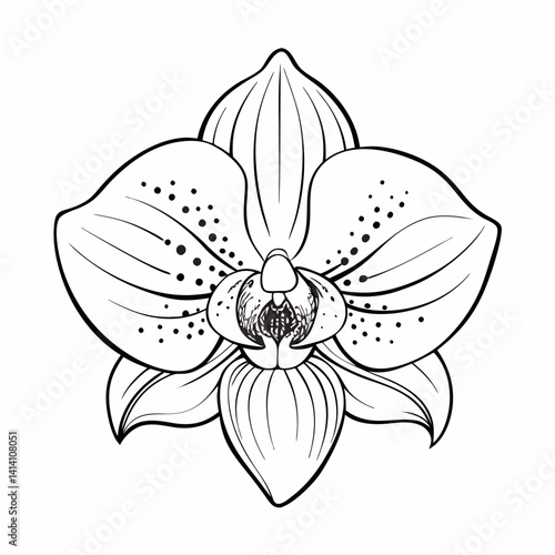 hand drawn woody flower outline illustration 