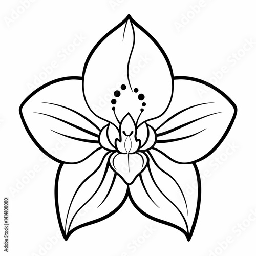 hand drawn woody flower outline illustration 