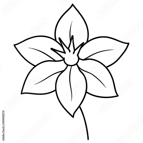 hand drawn carnation flower outline illustration 