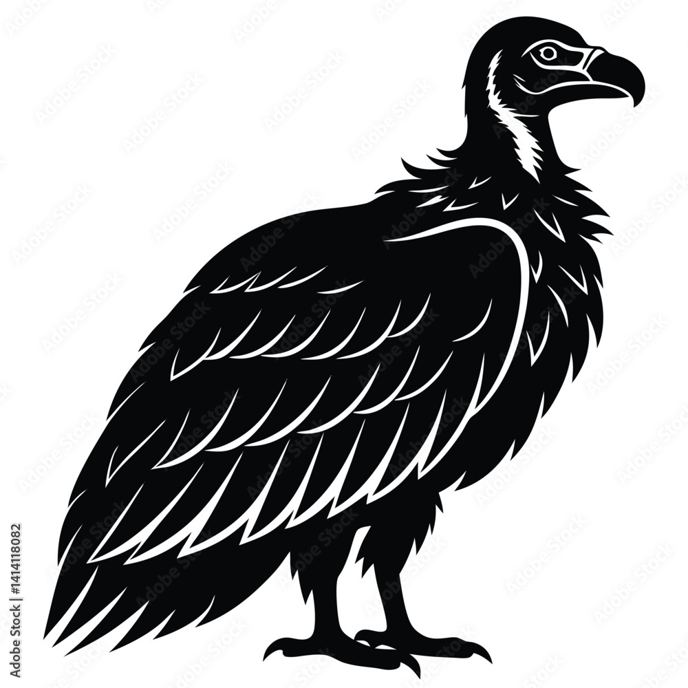 a silhouette vulture in white background a silhouette vulture in white background