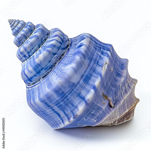 Isolated blue seashell on plain white background, perfect for marine-themed designs, beach decor, ocean graphics, and coastal product visuals.