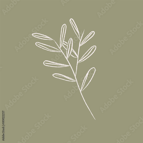 beige green aesthetic earth tones abstract botany plant