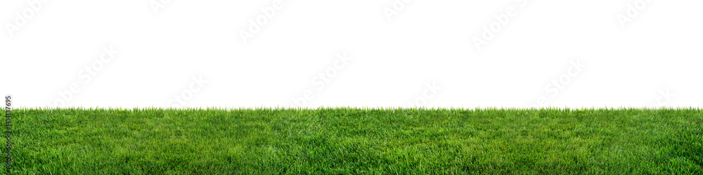 3D Render Green grass texture on white wire screen 3D Render Green grass texture on white wire screen