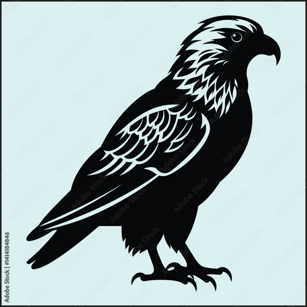 Obraz premium Buzzard Silhouette, Bird