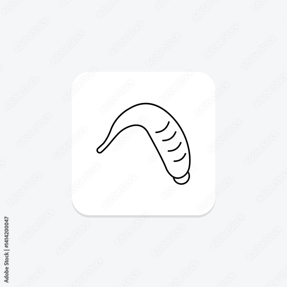 Fototapeta premium Leech, vector, pixel perfect, illustrator file