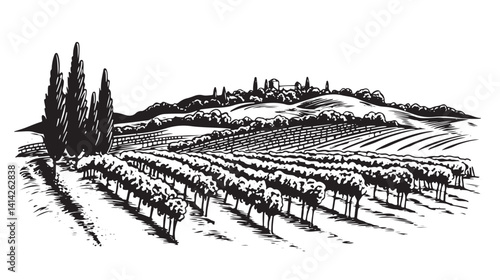 Vineyard landscape with mountains and building on the hill, sketch on white