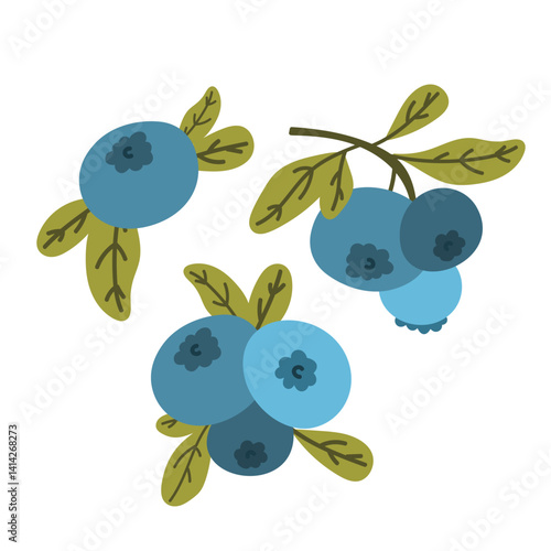 blueberries or bilberries set collection. fresh edible berries for healthy nutrition, forest berries