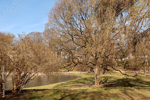 Photography Park