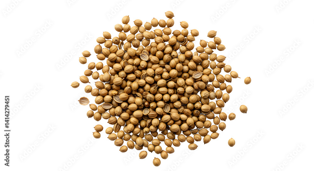 Pile of Dry Coriander Seeds on Transparent Background Pile of Dry Coriander Seeds on Transparent Background
