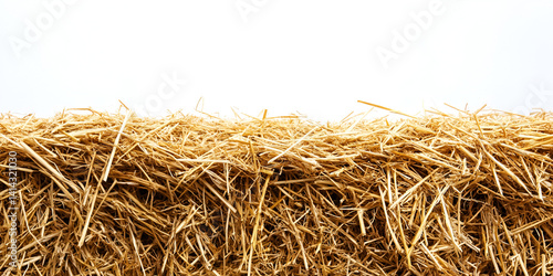 Dry yellow grass texture, like sun-baked hay in a summer field, whispers tales of harvest
