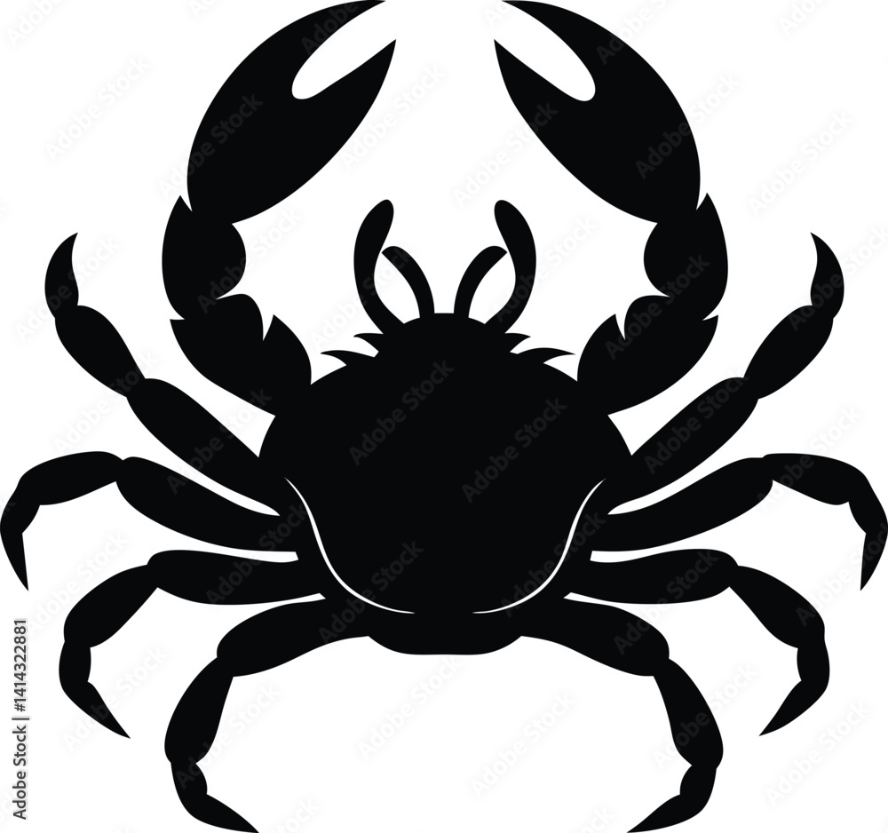 crab isolated on white background crab isolated on white background