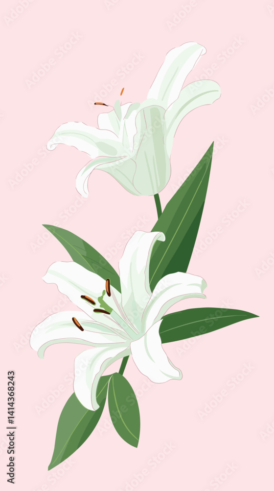 Fototapeta premium Elegant white lilies with lush green leaves on soft pink background flat vector illustration