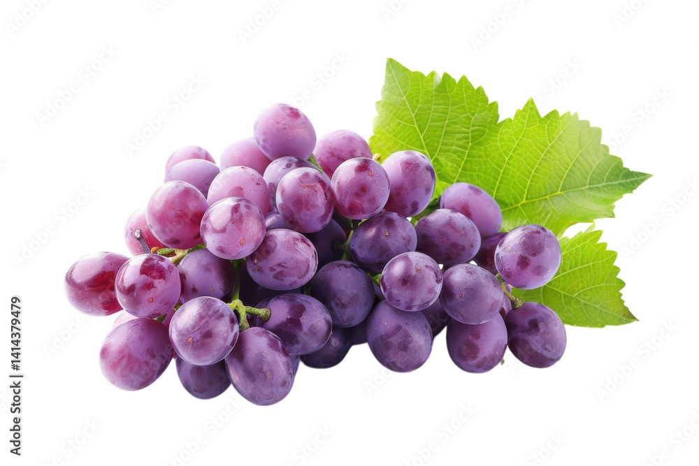 Fototapeta premium Plump purple grapes glistening with dew, resting on vibrant green leaves in soft light