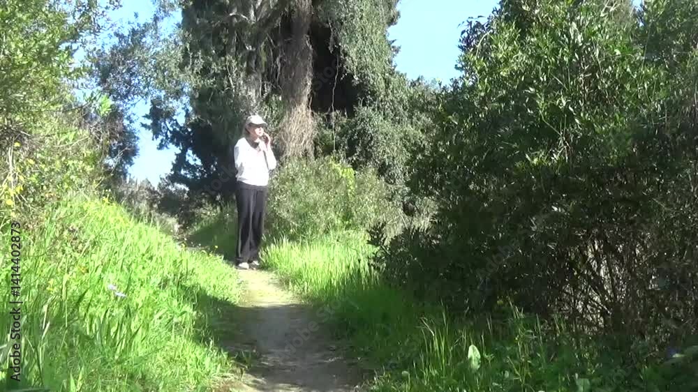 A woman in sportswear walks through the forest and picks a flower, smells it and continues walking towards the camera. Morning walk in the forest outdoors. The sun shines brightly into the woman's eye A woman in sportswear walks through the forest and picks a flower, smells it and continues walking towards the camera. Morning walk in the forest outdoors. The sun shines brightly into the woman's eye