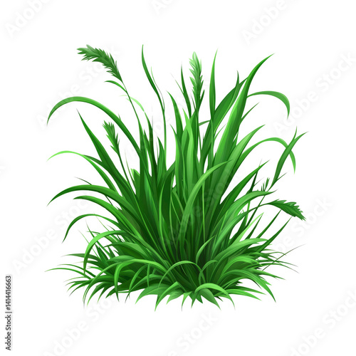 Lush Green Grass Tuft, Vibrant Spring Meadow Grass Illustration