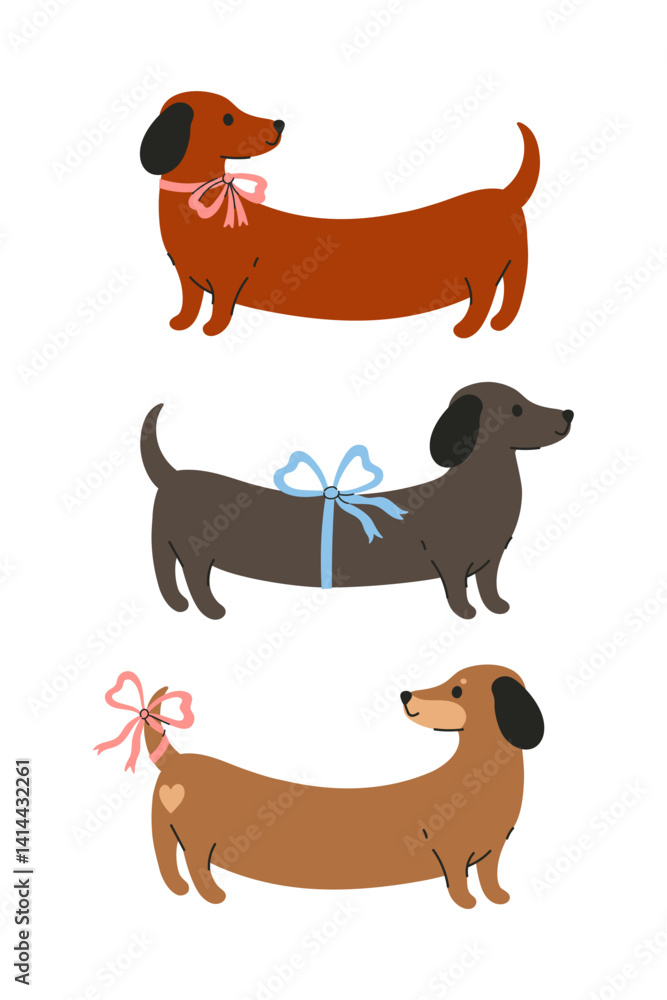 Obraz na plátně Poster or card with three dachshunds with bows on a white background