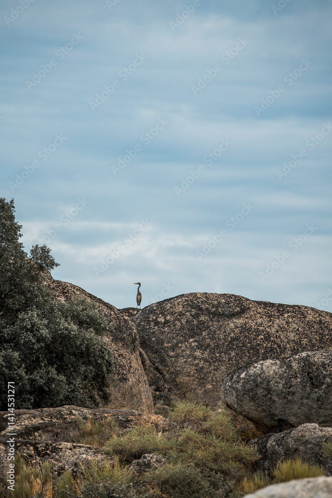 Fototapeta premium Los Barruecos pretty water nature area in Spain Natural monument 