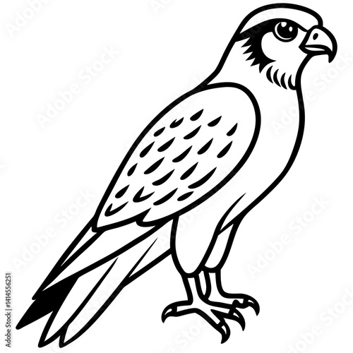 Elegant Falcon Line Drawing Design