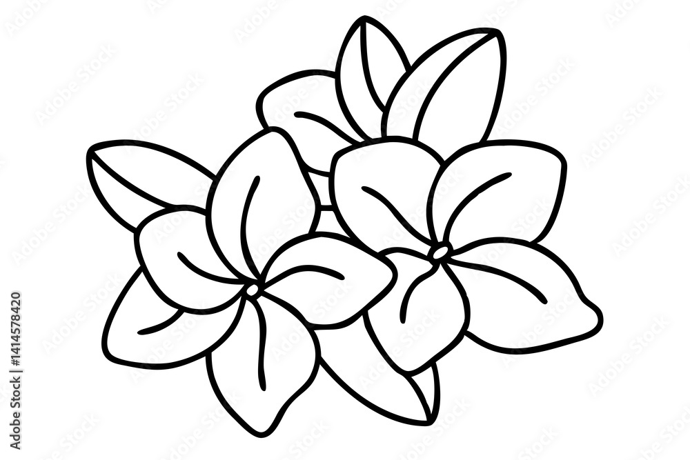 Plumeria Flower Illustration for Tropical Decor, Exotic Floral Art, Hawaiian Blooms Plumeria Flower Illustration for Tropical Decor, Exotic Floral Art, Hawaiian Blooms