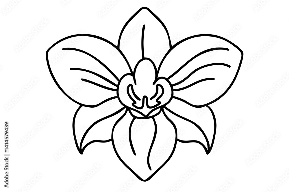 Orchid Flower Line Art Illustration for Elegant Decor, Botanical Prints, Floral Sketches Orchid Flower Line Art Illustration for Elegant Decor, Botanical Prints, Floral Sketches
