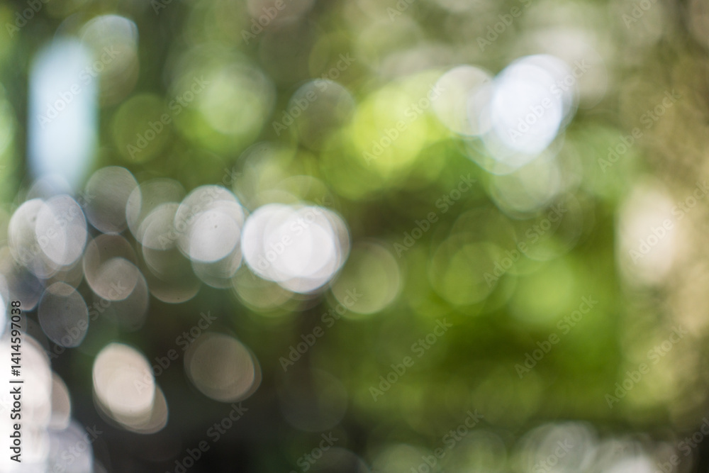 Obraz premium Blurred backdrop of green abstract nature background. Greenery