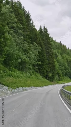 Vertical view of Norway road from car