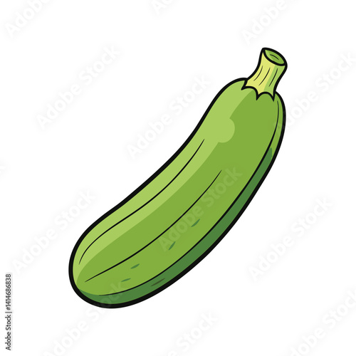Zucchini Vector Illustration – Fresh Green Vegetable

