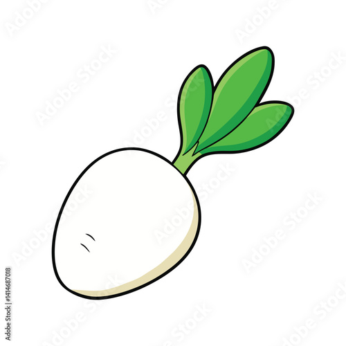 White Radish Vector Illustration – Fresh Root Vegetable in Detail, Healthy Organic Food Design

