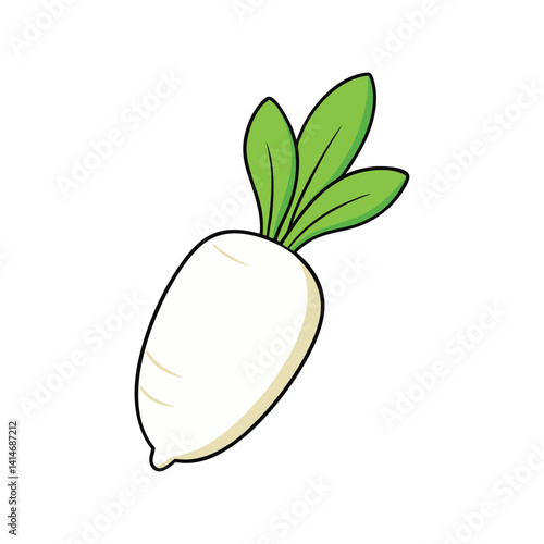 White Radish Vector Illustration – Fresh Root Vegetable in Detail, Healthy Organic Food Design

