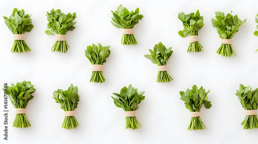 Overhead photo of fresh green herb bundles tied with string and arranged neatly on clean white background, showing natural textures, garden harvest culinary preparation in minimal studio style