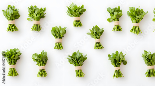 Obraz na płótnie Overhead photo of fresh green herb bundles tied with string and arranged neatly on clean white background, showing natural textures, garden harvest culinary preparation in minimal studio style w salonie